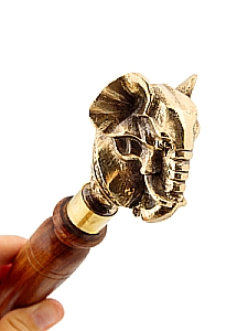 ����: ����� ��� �����  "����" ���9011/1/1 (2 ��/����)